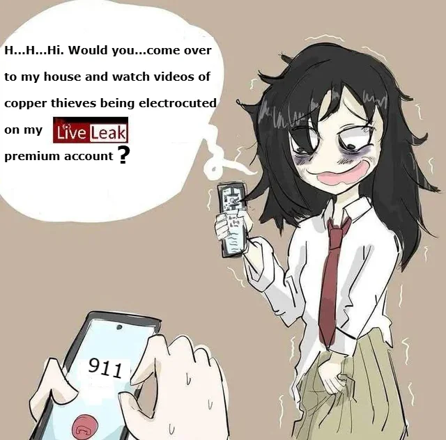 Posted media