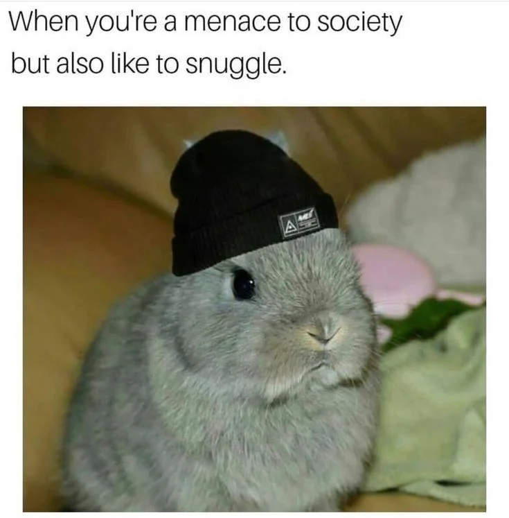 Posted media